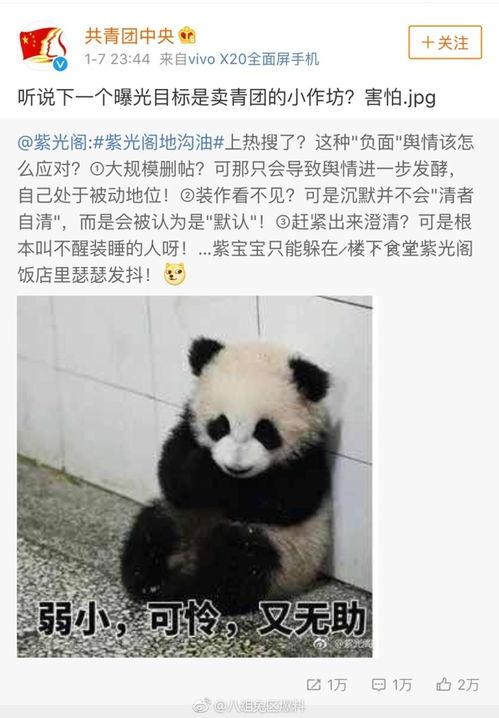 新华网吃瓜,揭秘娱乐圈“吃瓜”背后的真相与趣味