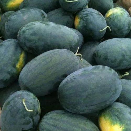 吃武陟新瓜,尽享夏日清新滋味