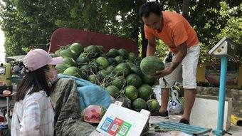 济宁吃瓜事,揭秘背后真相与网络热议