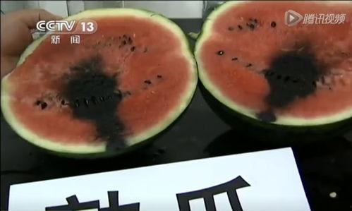 吃瓜系统的视频