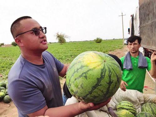 乌鲁木齐吃瓜者澄清,还原事件全貌