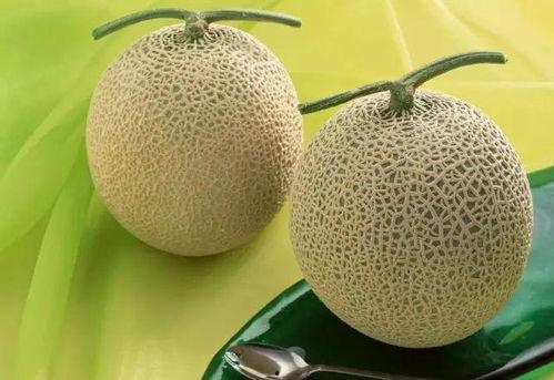 东湖瓜哈密瓜怎么吃,东湖瓜哈密瓜的多彩食法探索