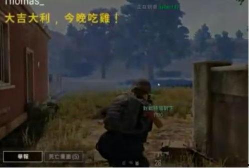 瓜仔自雷吃鸡,一场别开生面的吃鸡冒险之旅