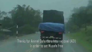 怪物吃瓜视频大全,趣味视频大全集锦