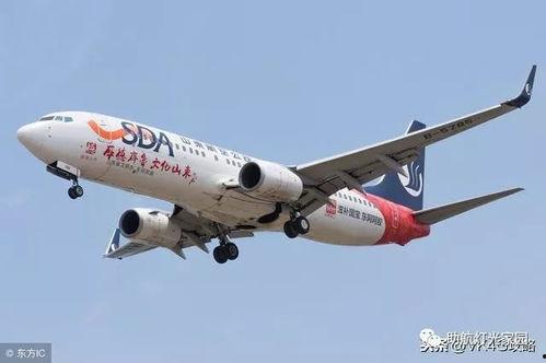山东航空吃瓜,揭秘航班服务争议背后的真相