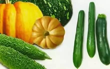 吃老瓜治什么,天然良药，养生保健的绿色选择