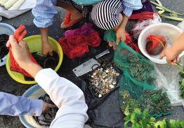 青蛙当街吃瓜,揭秘夏日街头奇观