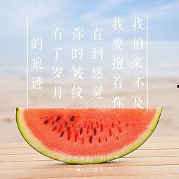 吃瓜 忠诚家族,揭秘网络舆论背后的情感纠葛