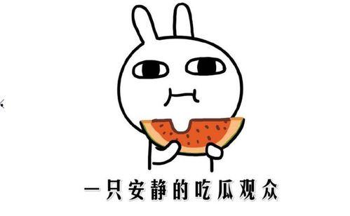 关于吃瓜事件,揭秘网络舆论背后的真相与反思