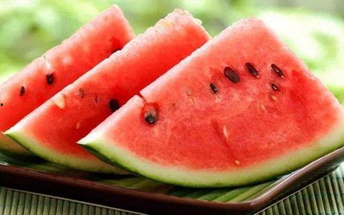 广东带你吃瓜,广东带你领略地道的吃瓜之旅